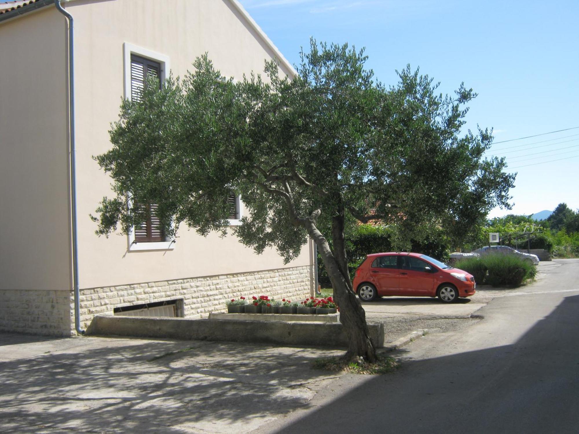 Apartments Blanka Zadar Eksteriør bilde